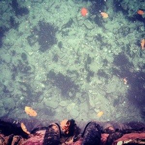 Meet your Posher, Gary